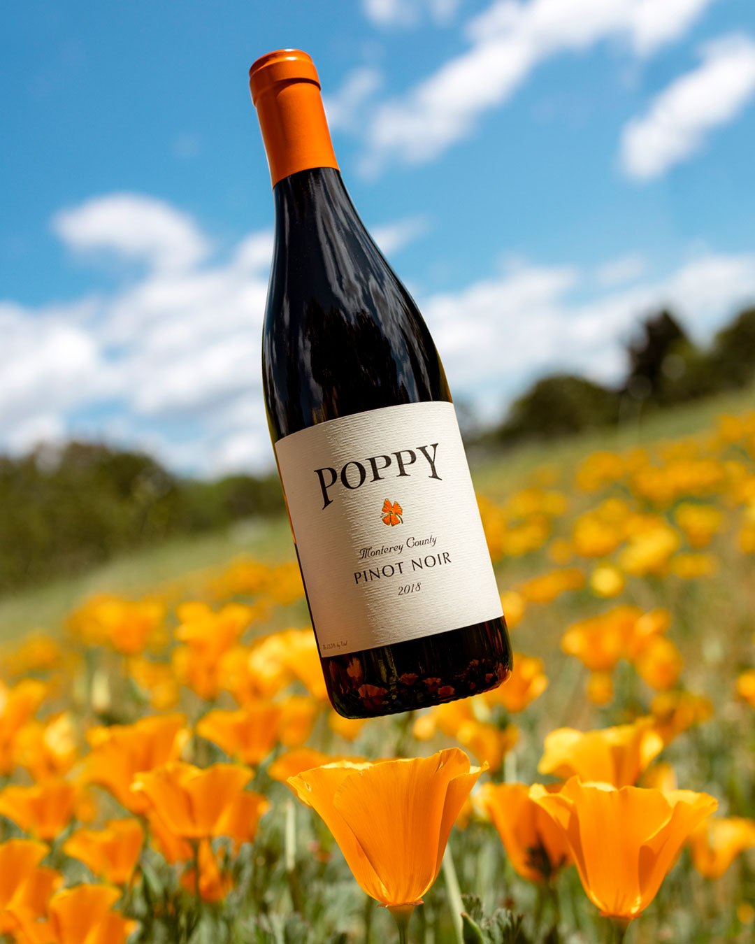2018-Poppy-Pinot-Noir-Wine-by-Frank-Gutierrez