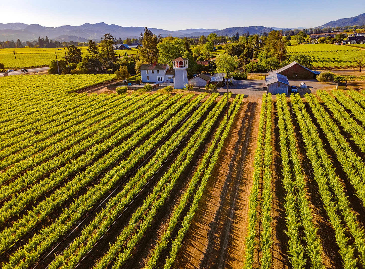 Aerial Photo of Chaix Vineyards in Rutherford, Napa Valley by Frank Gutierrez