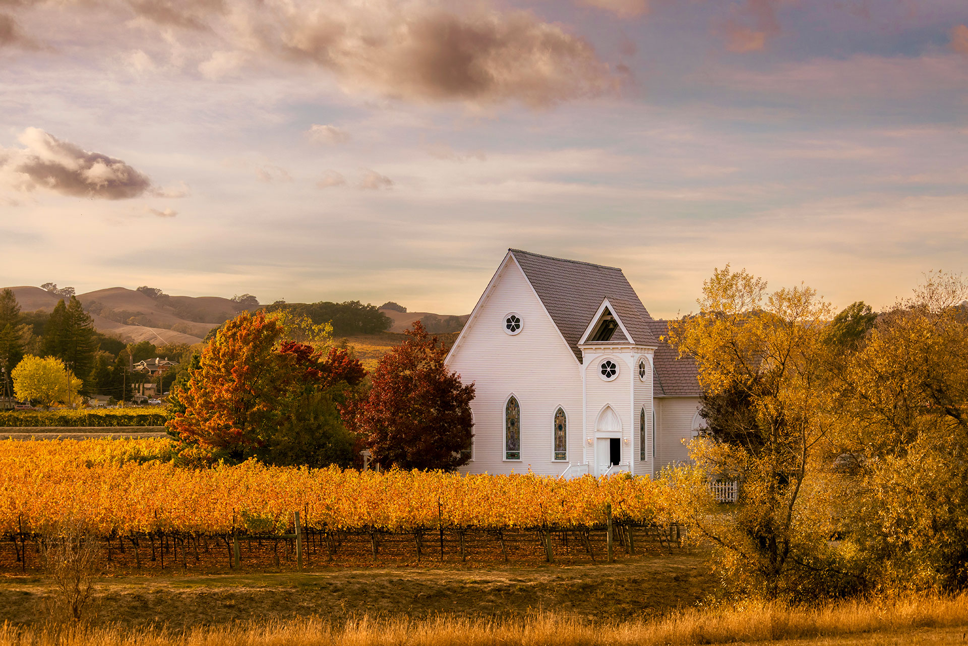 2022-Church-Vineyard-in-Fall-by-Frank-Gutierrez-2949v2