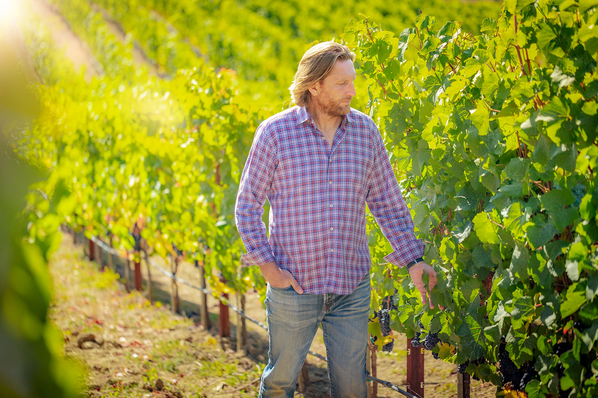 Matt-Parish-Lula-Cellars-by-Frank-Gutierrez-5567-2